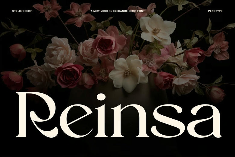 Reinsa Font